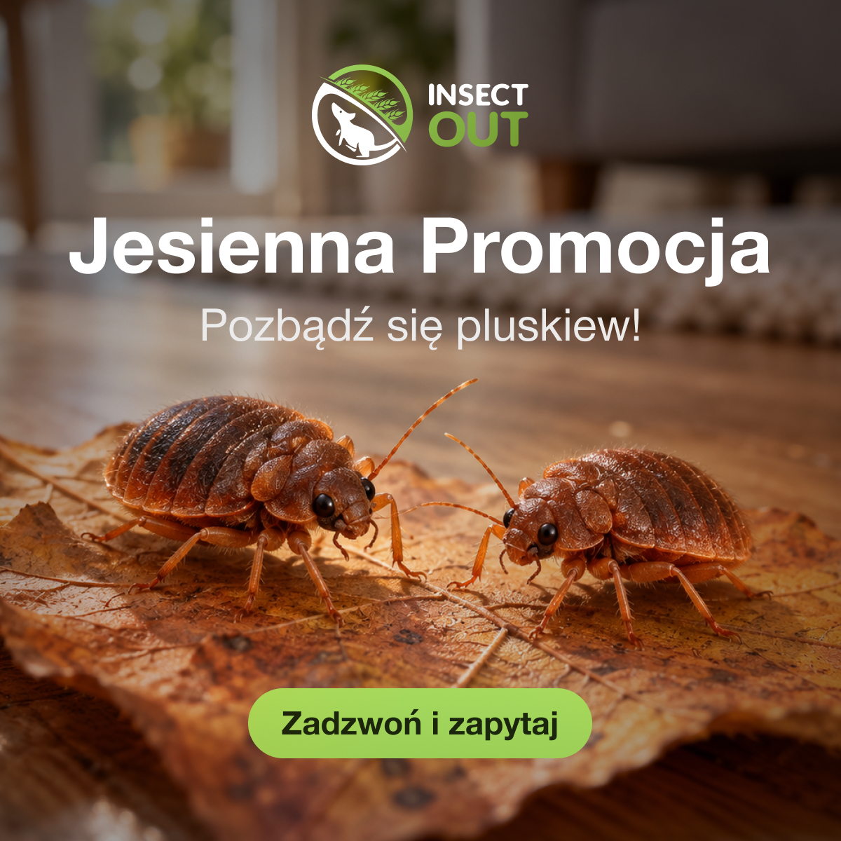 Jesienna promocja